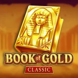 game logo by Playson on playmojo.dk