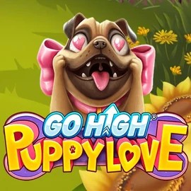 game logo by RubyPlay on playmojo.dk